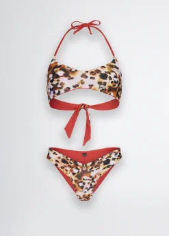 Bikini top e slip animalier