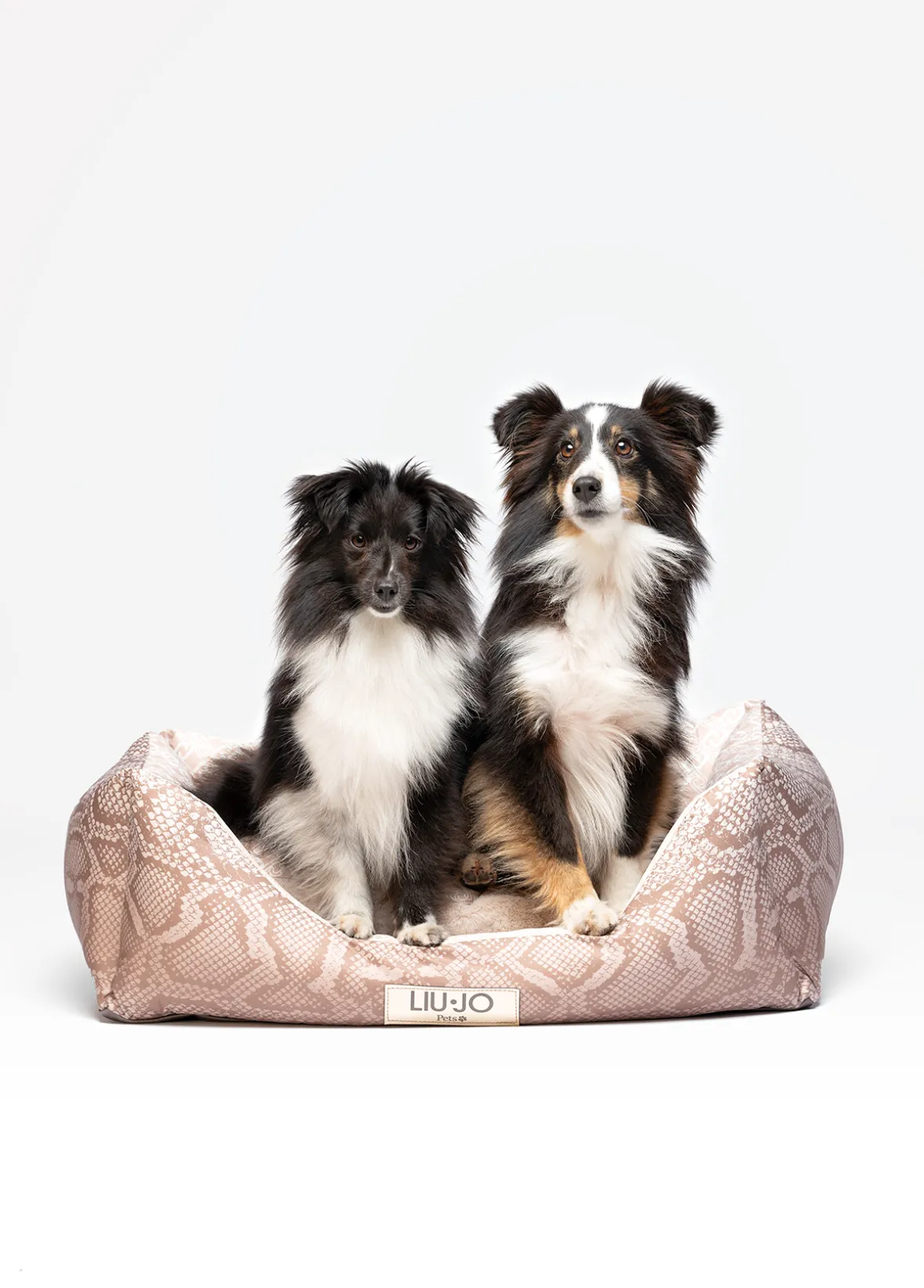 Cuccia Liu Jo Pets