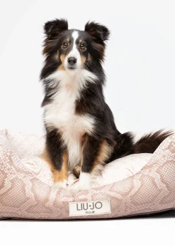 Cuccia Liu Jo Pets