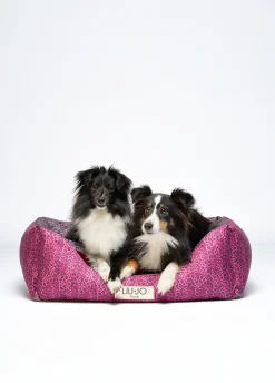 Cuccia Liu Jo Pets