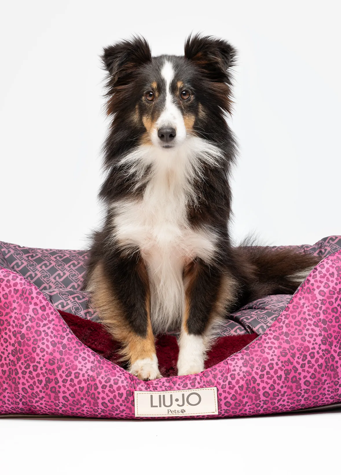 Cuccia Liu Jo Pets