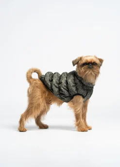 Giacca imbottita Liu Jo Pets
