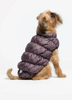 Giacca imbottita Liu Jo Pets