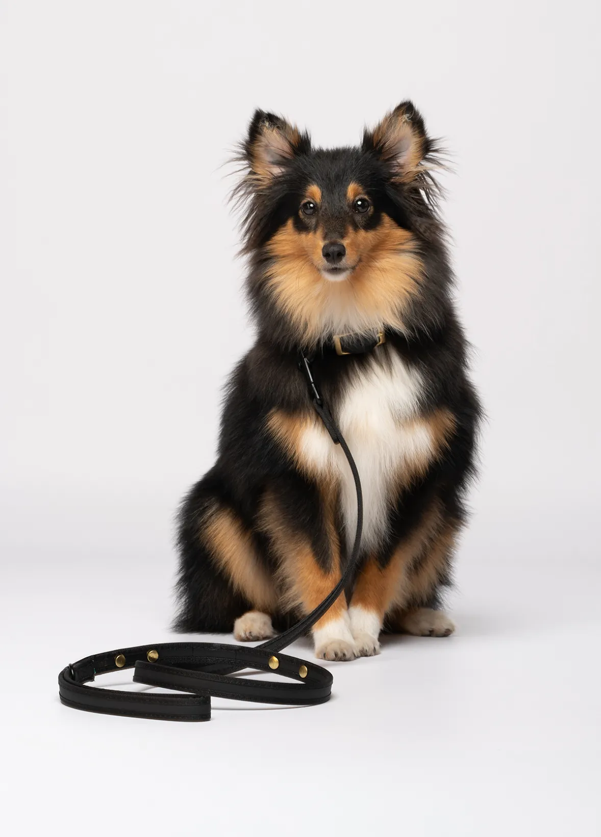 Guinzaglio Liu Jo Pets