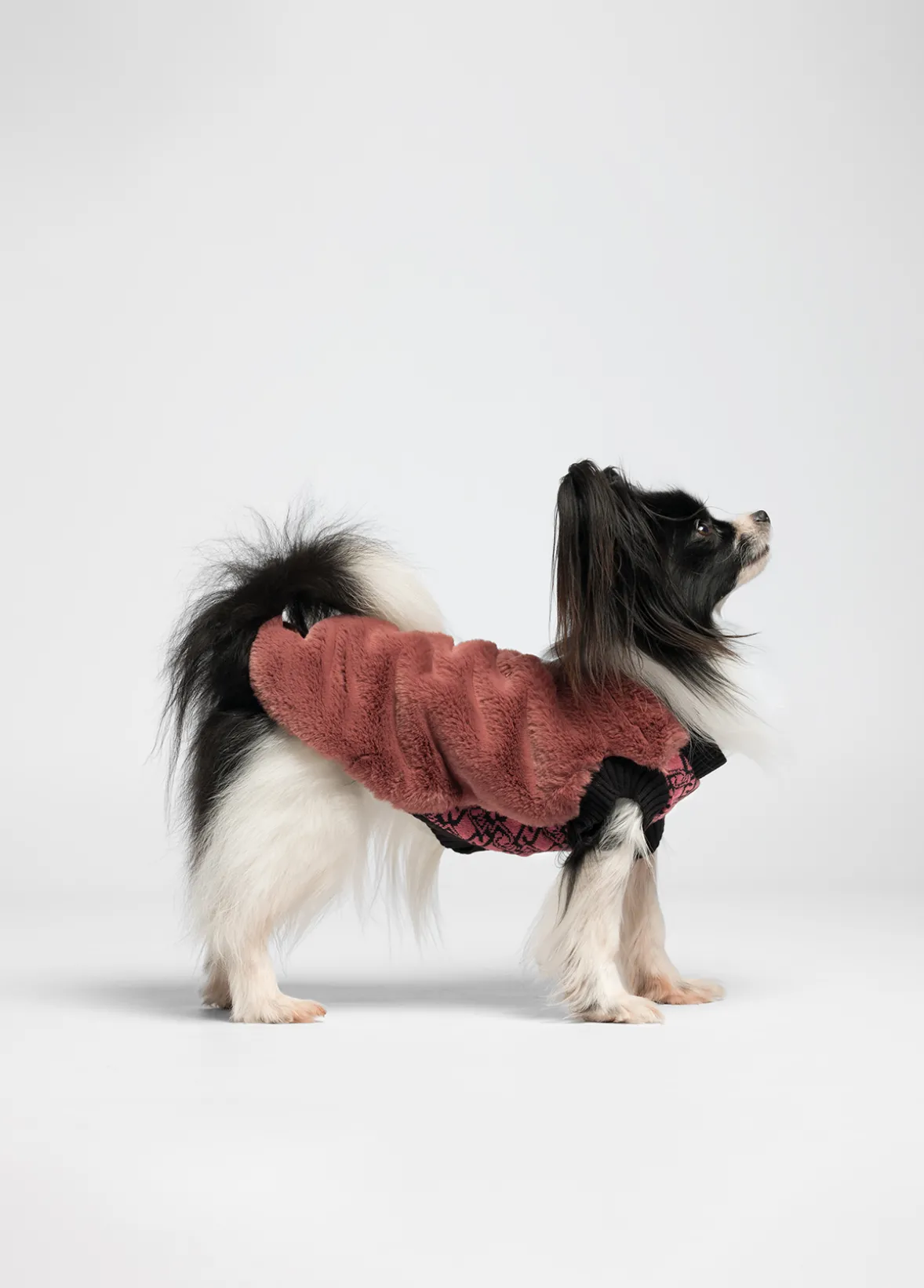 Maglia in lana e cashmere Liu Jo Pets