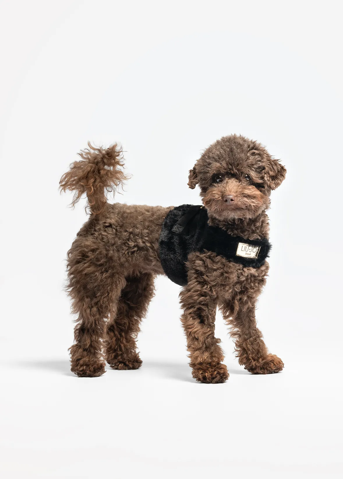 Pettorina in teddy Liu Jo Pets