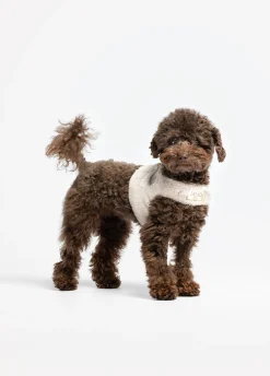 Pettorina in teddy Liu Jo Pets
