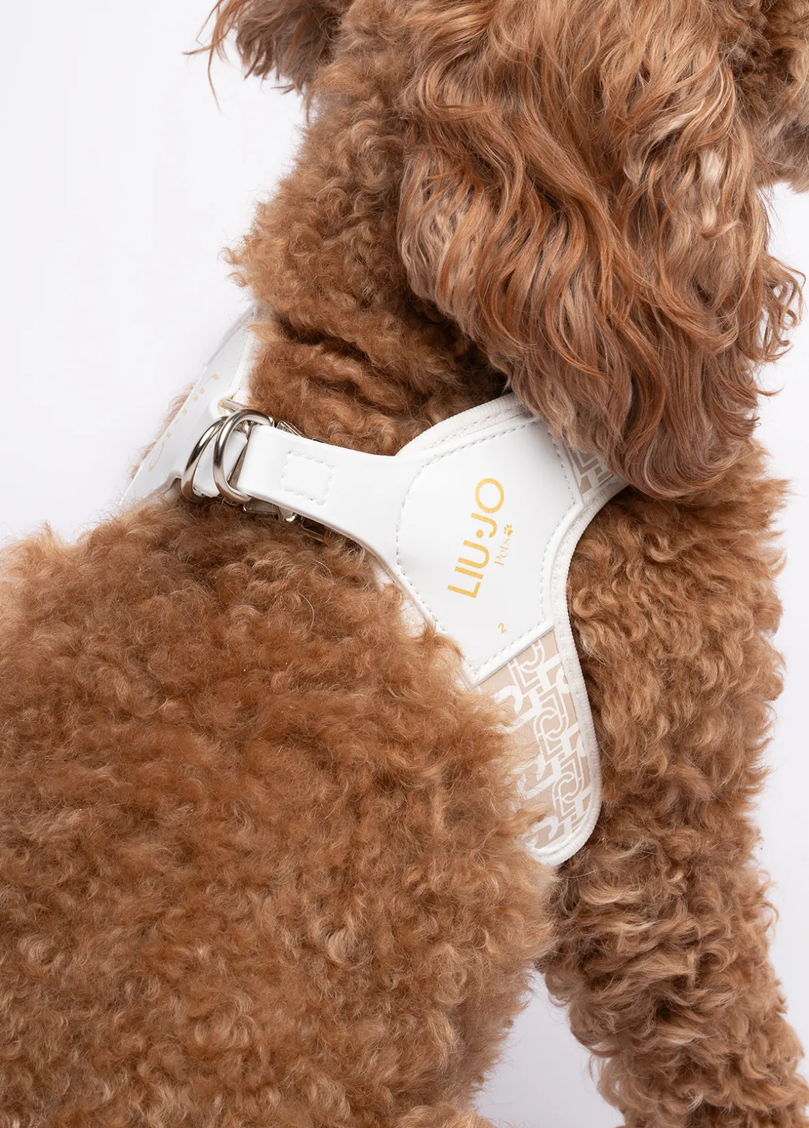 Pettorina Liu Jo Pets