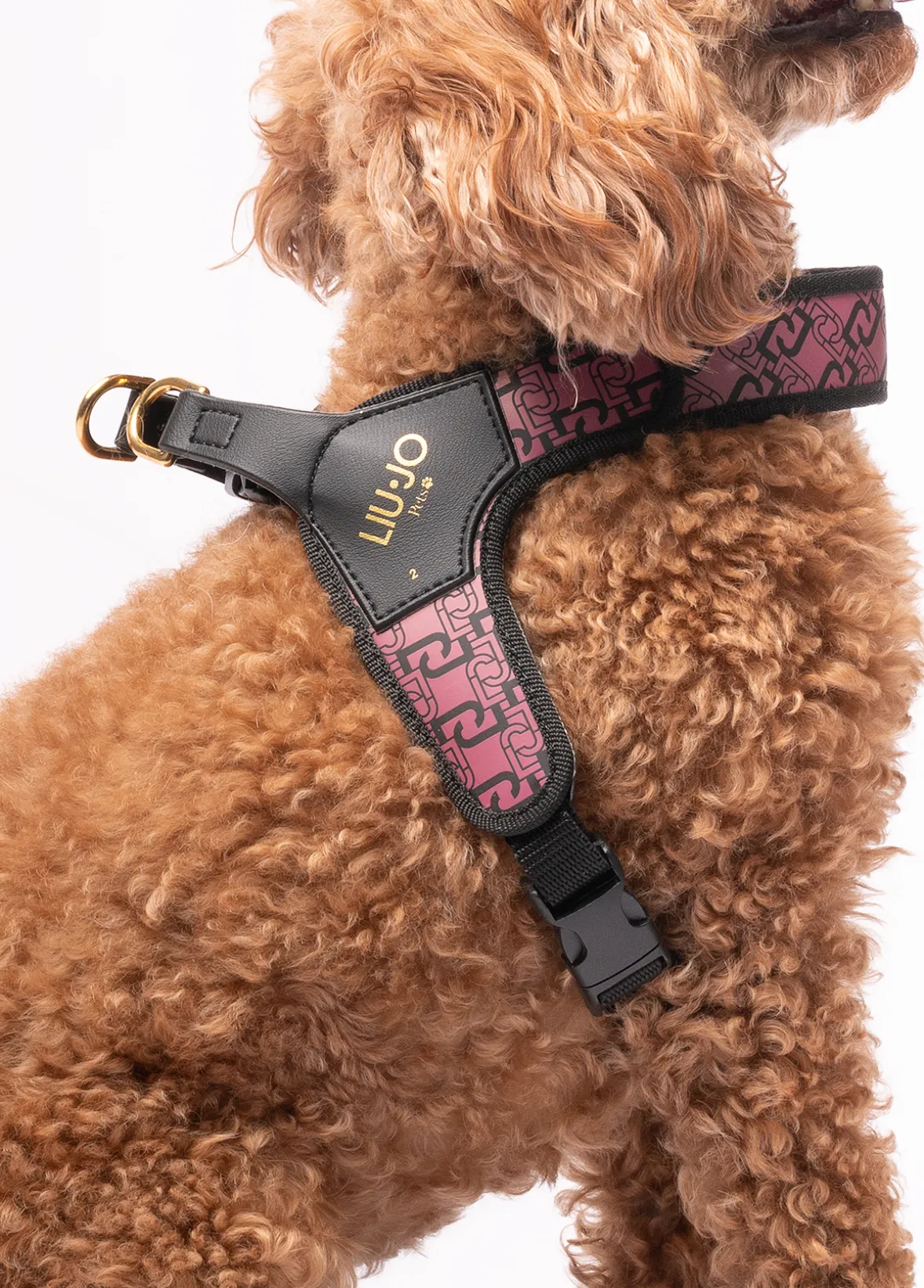 Pettorina Liu Jo Pets