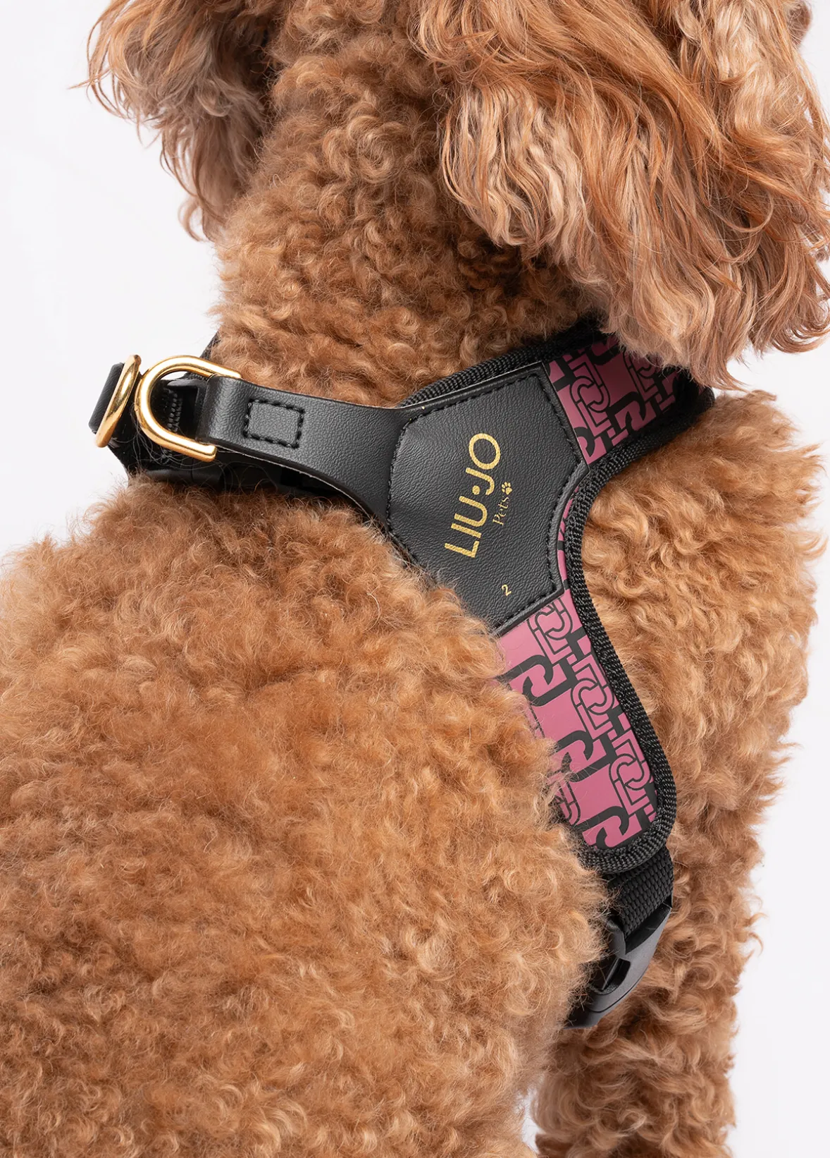 Pettorina Liu Jo Pets