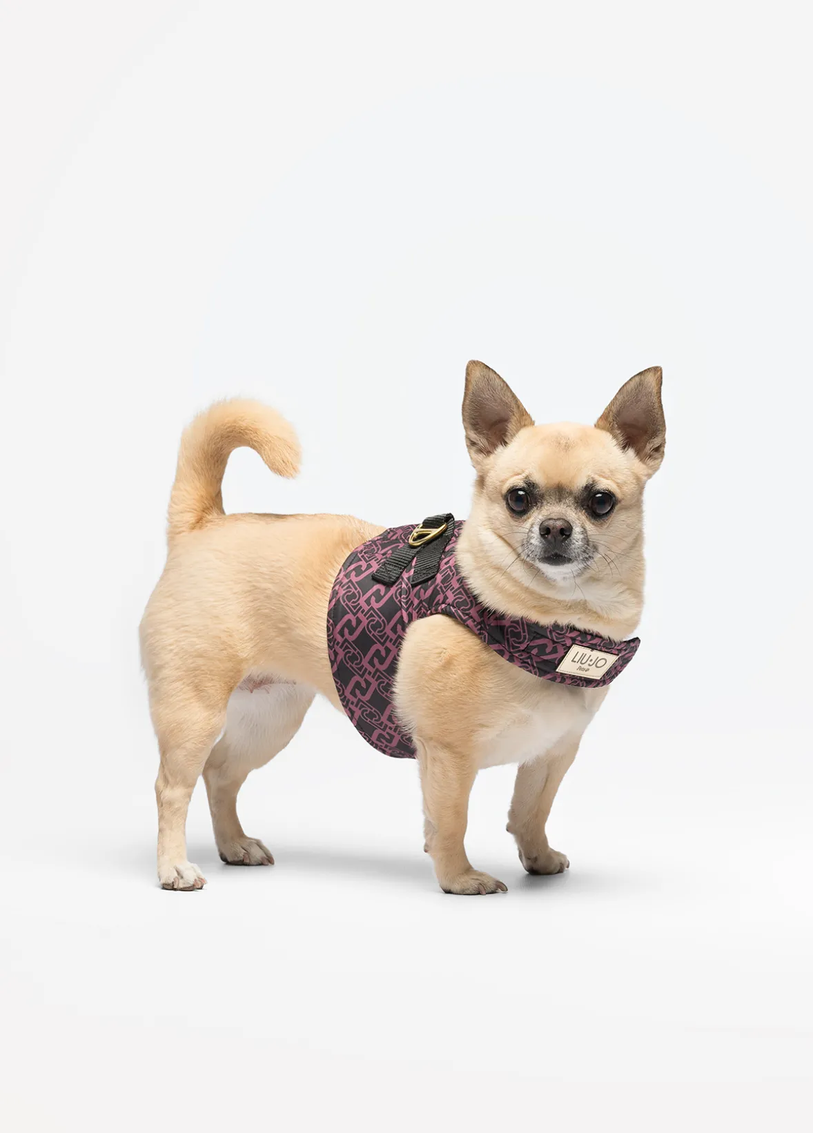 Pettorina Liu Jo Pets