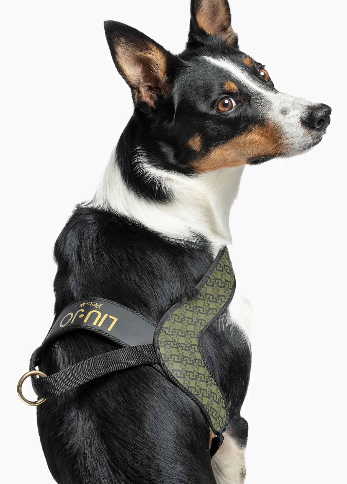 Pettorina taglia grande Liu Jo Pets