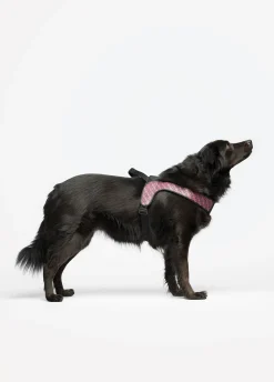 Pettorina taglia grande Liu Jo Pets