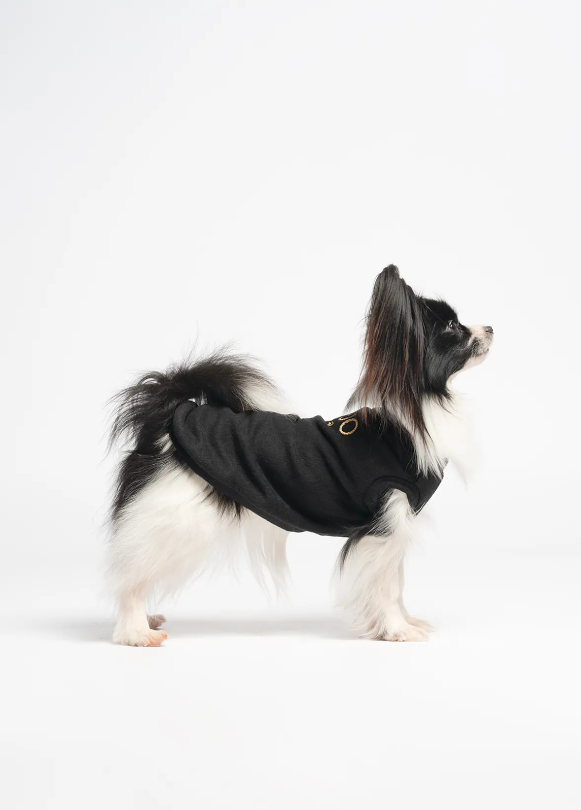 Pullover in cotone Liu Jo Pets