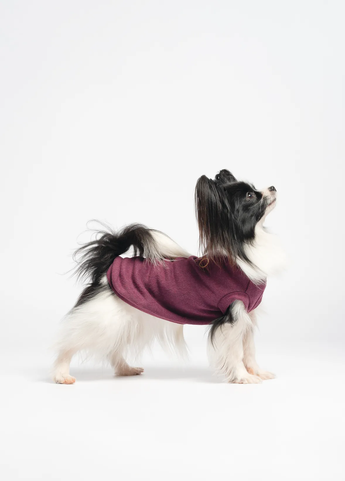 Pullover in cotone Liu Jo Pets