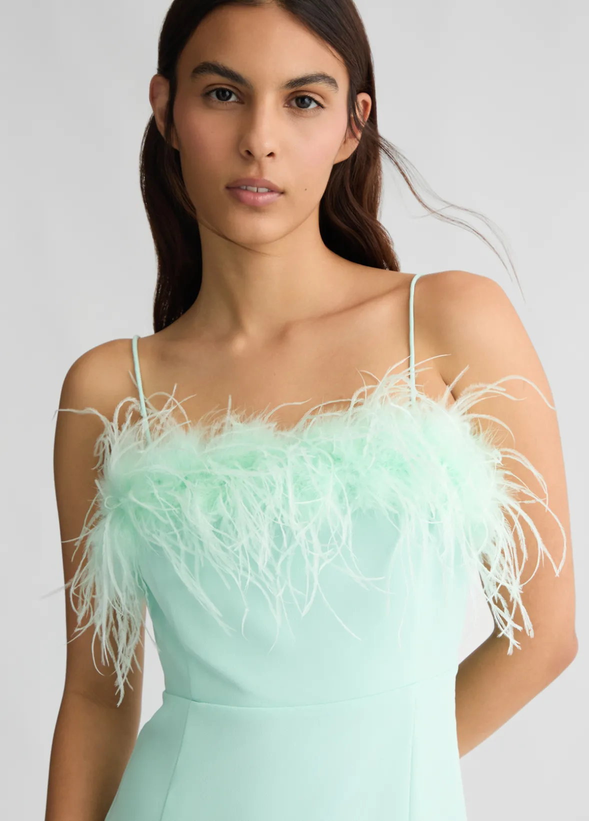 Vestito elegante con piume